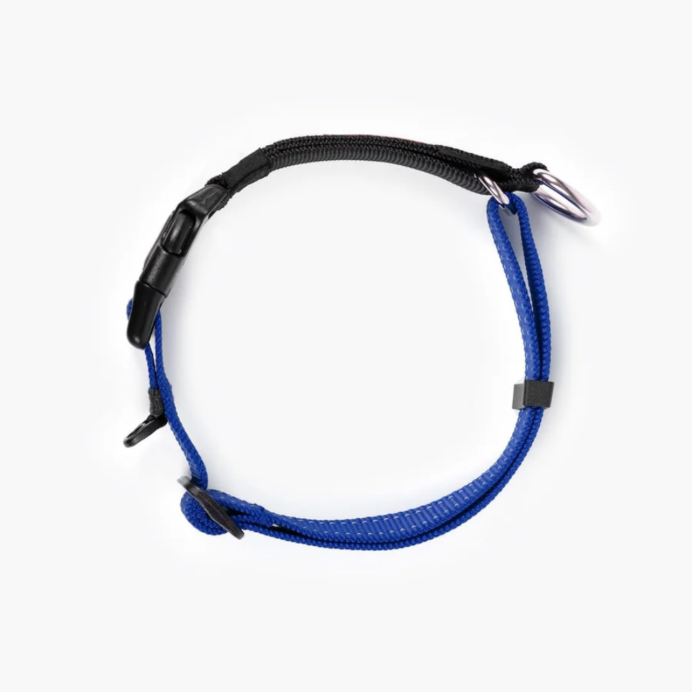 EzyDog COLLAR CHECKMATE L BLUE