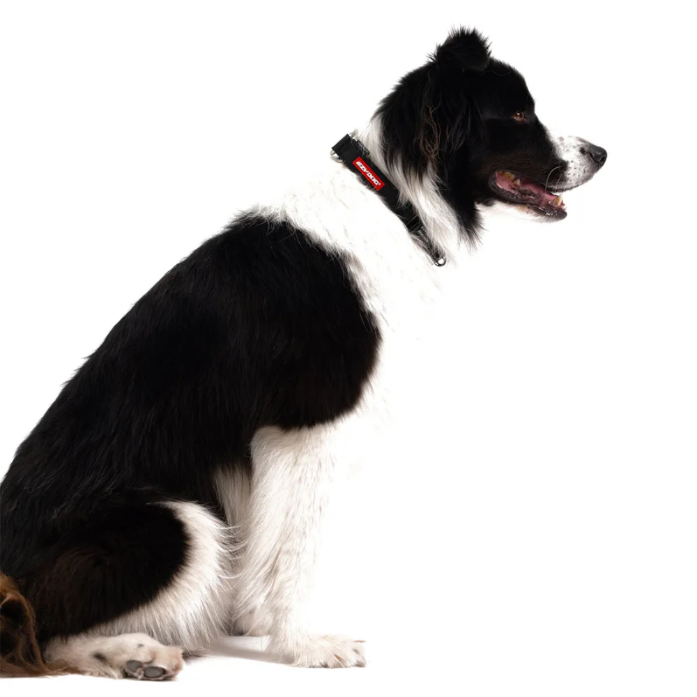EzyDog COLLAR CHECKMATE L CANDY