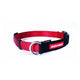 EzyDog Collor Checkmate L Red