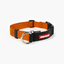 EzyDog COLLAR CHECKMATE M ORANGE