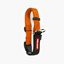 EzyDog COLLAR CHECKMATE M ORANGE