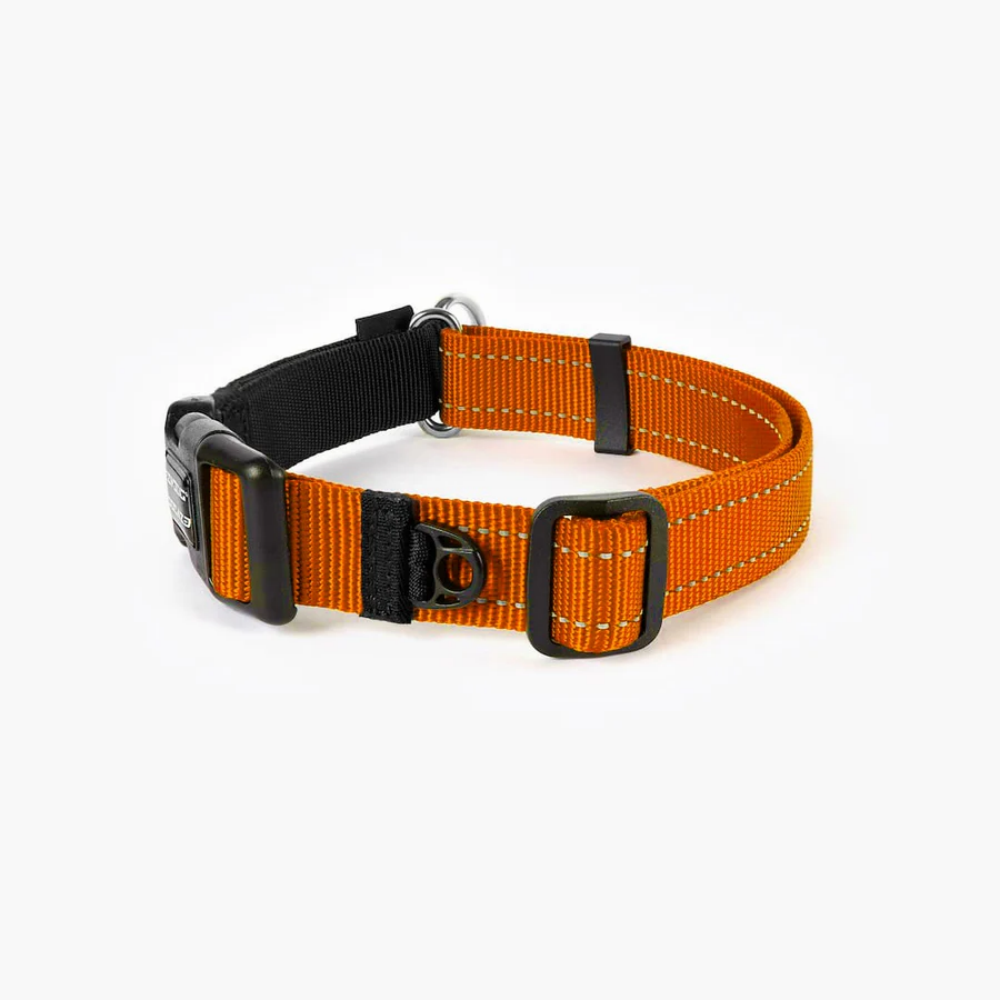 EzyDog COLLAR CHECKMATE XL ORANGE