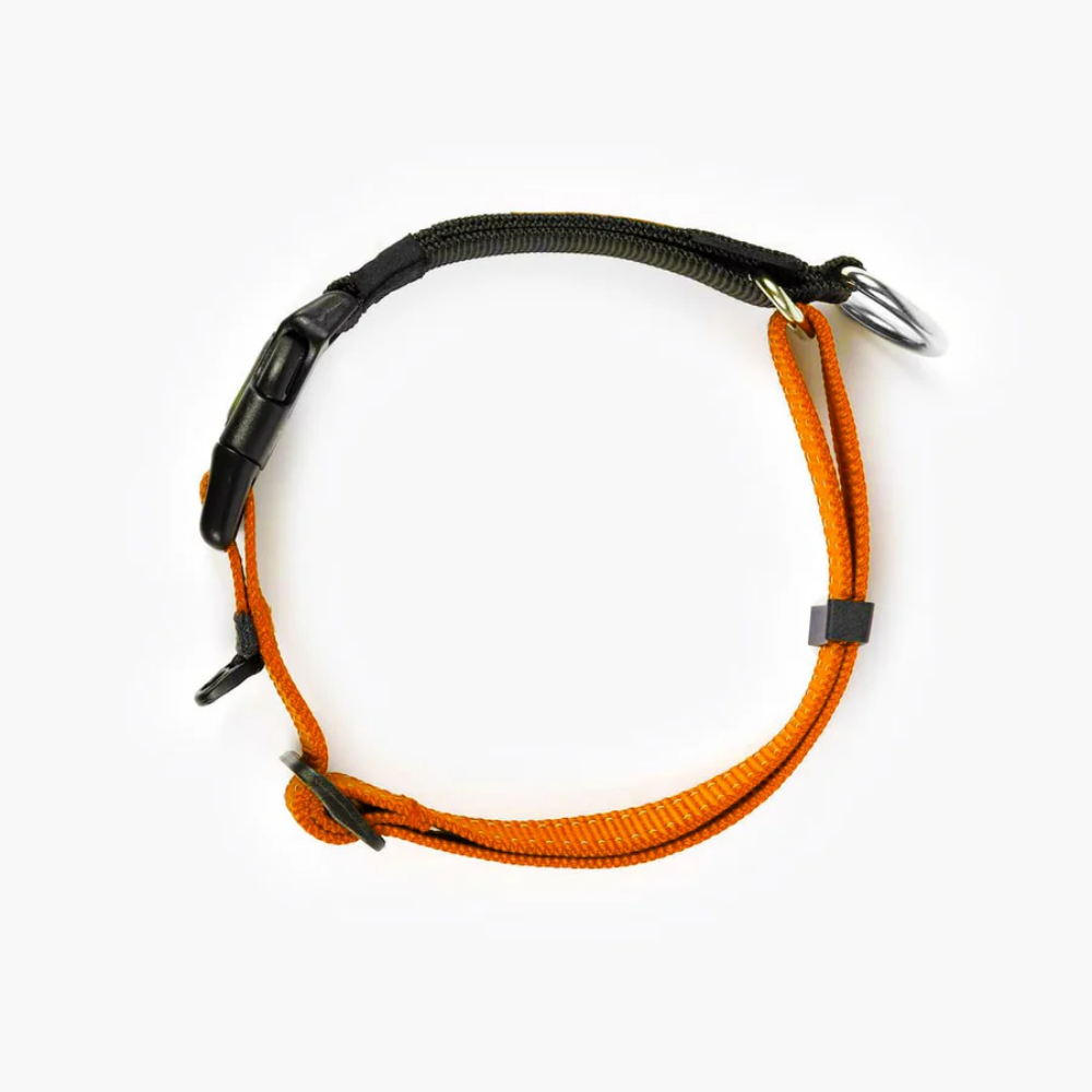 EzyDog COLLAR CHECKMATE XL ORANGE