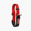 EzyDog COLLOR CHECKMATE XL RED