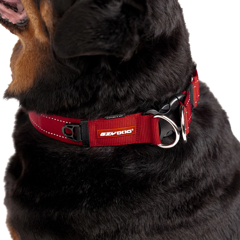 Ezydog 24040 Collor Double Up S Red