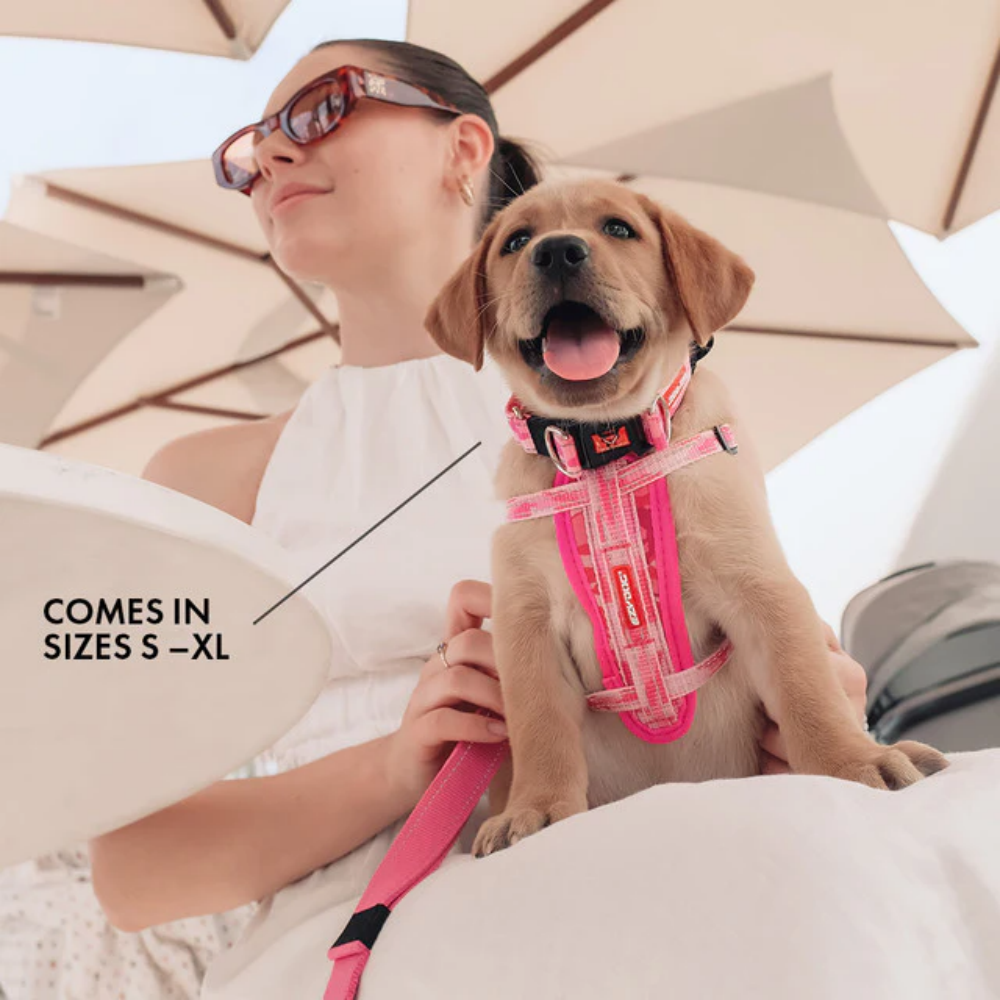 Ezydog 24040 Collor Double Up S Red