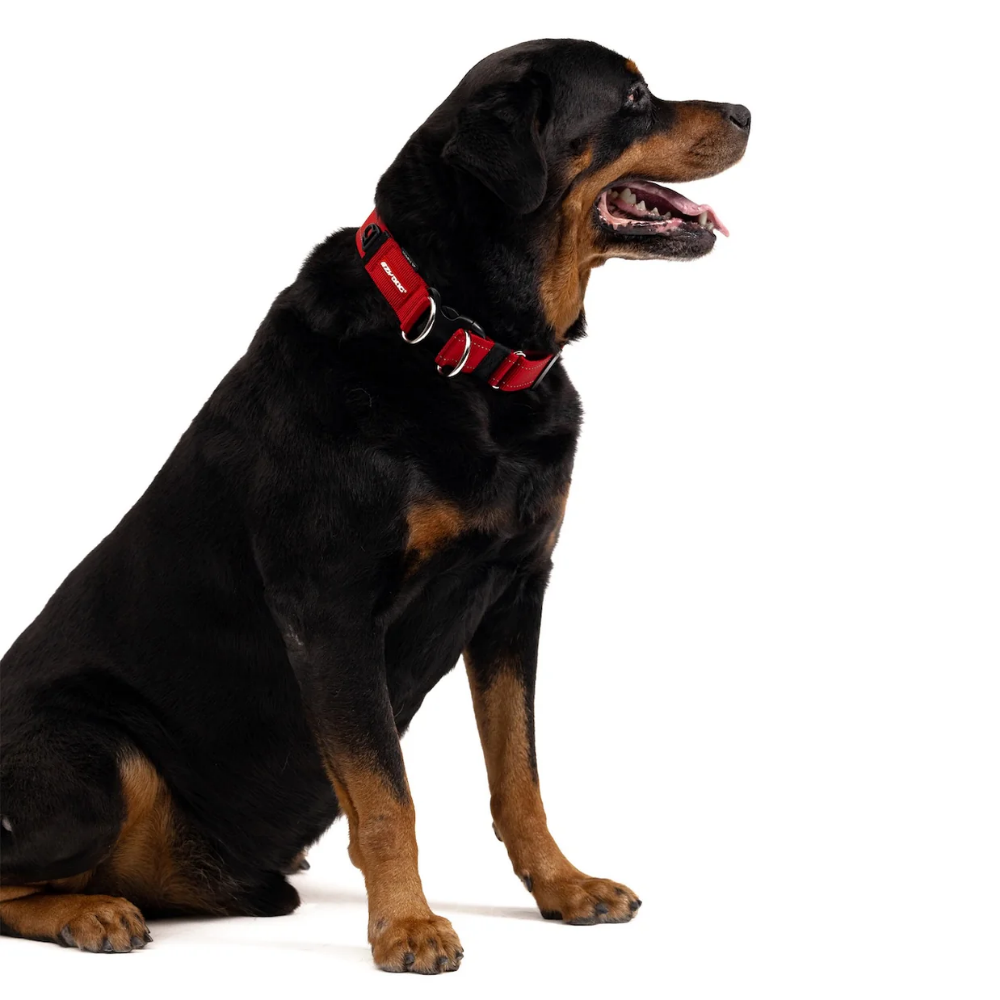 Ezydog 04836Ezy Dog Double Up Collar Denım Xl
