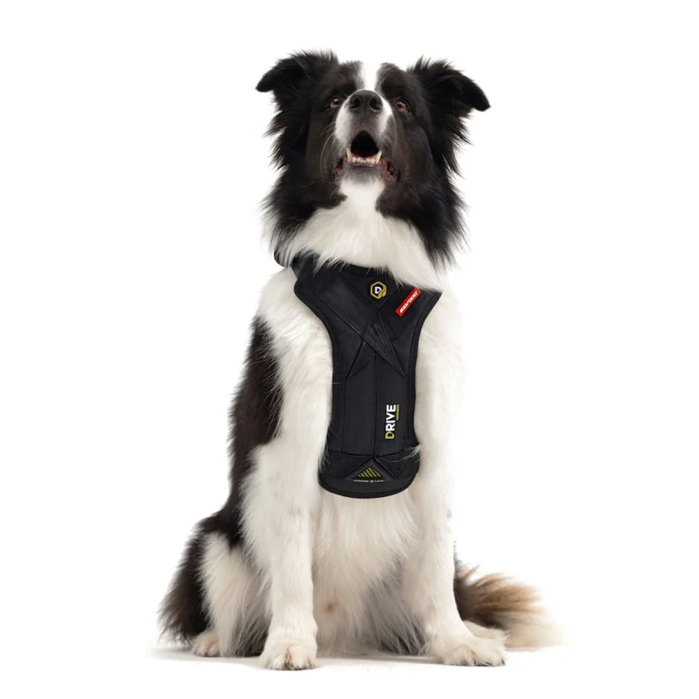 Ezydog Ezy Drive Harnes M Black