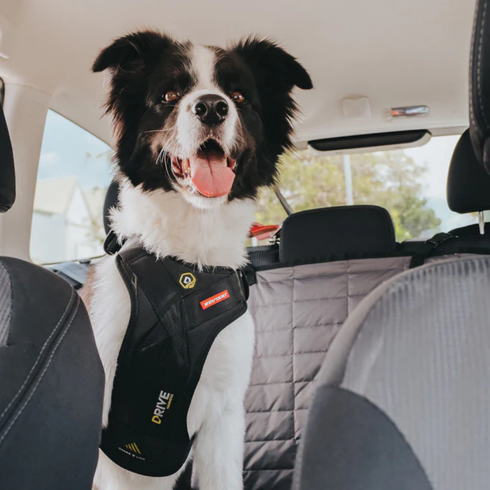 Ezydog Ezy Drive Harnes M Black