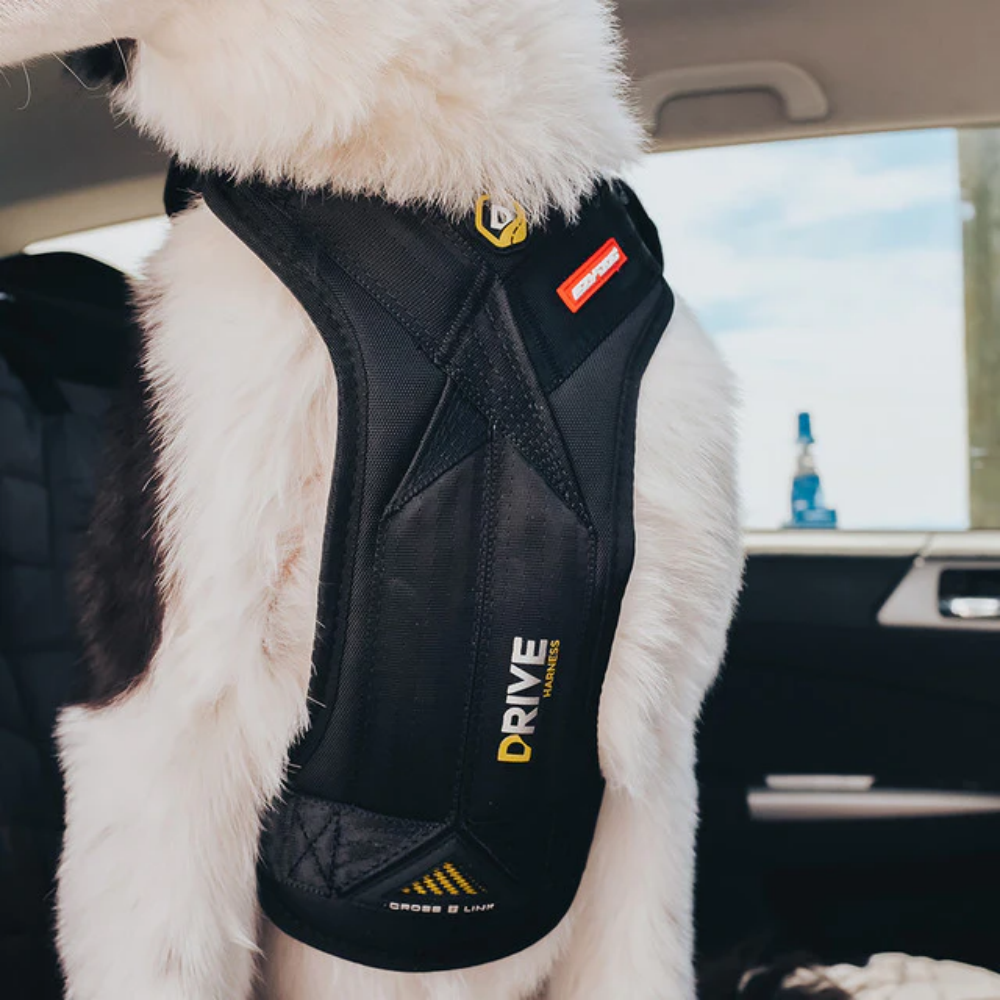Ezydog Ezy Drive Harnes M Black