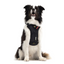 Ezydog Ezy Drive Harnes S Black