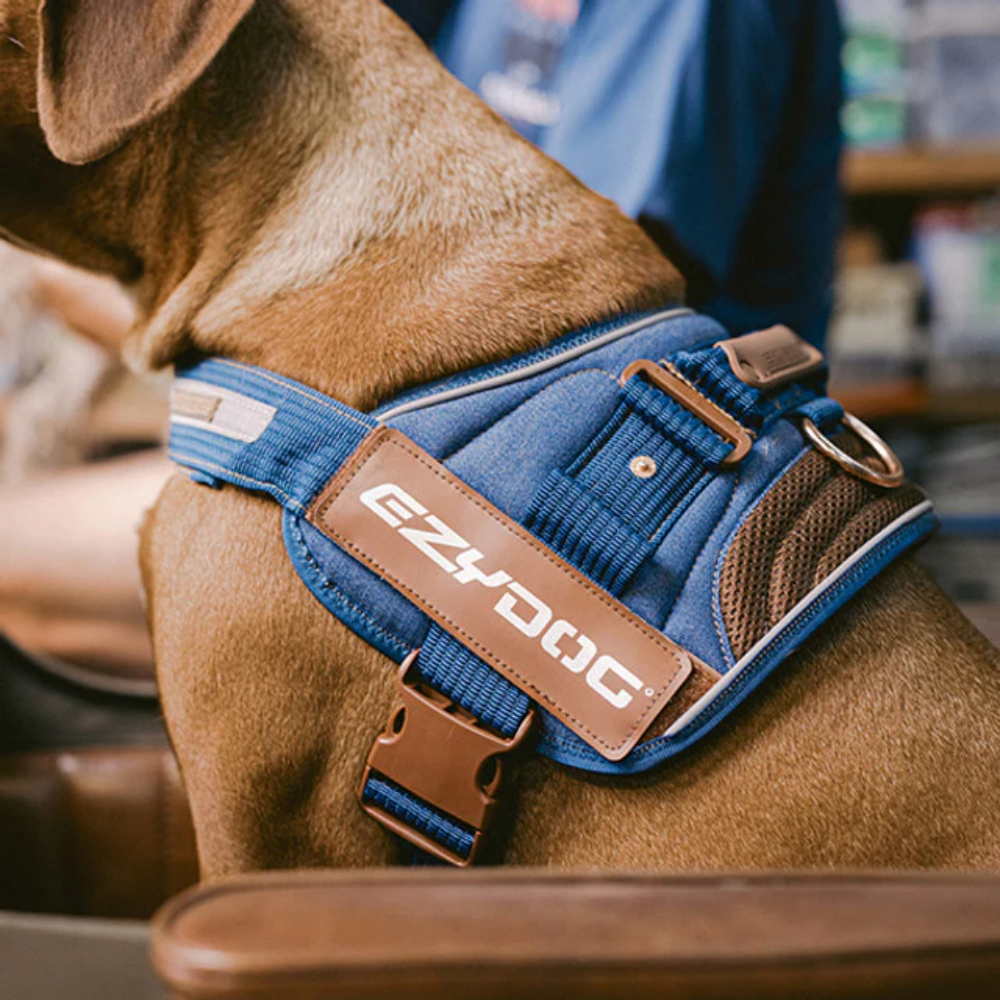 EzyDog Convert Harnes Cv 2XL Blue