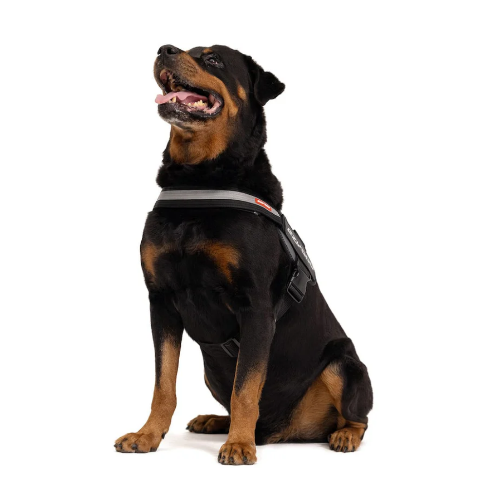 Ezydog 42087 Convert Harnes - Black - Xxl