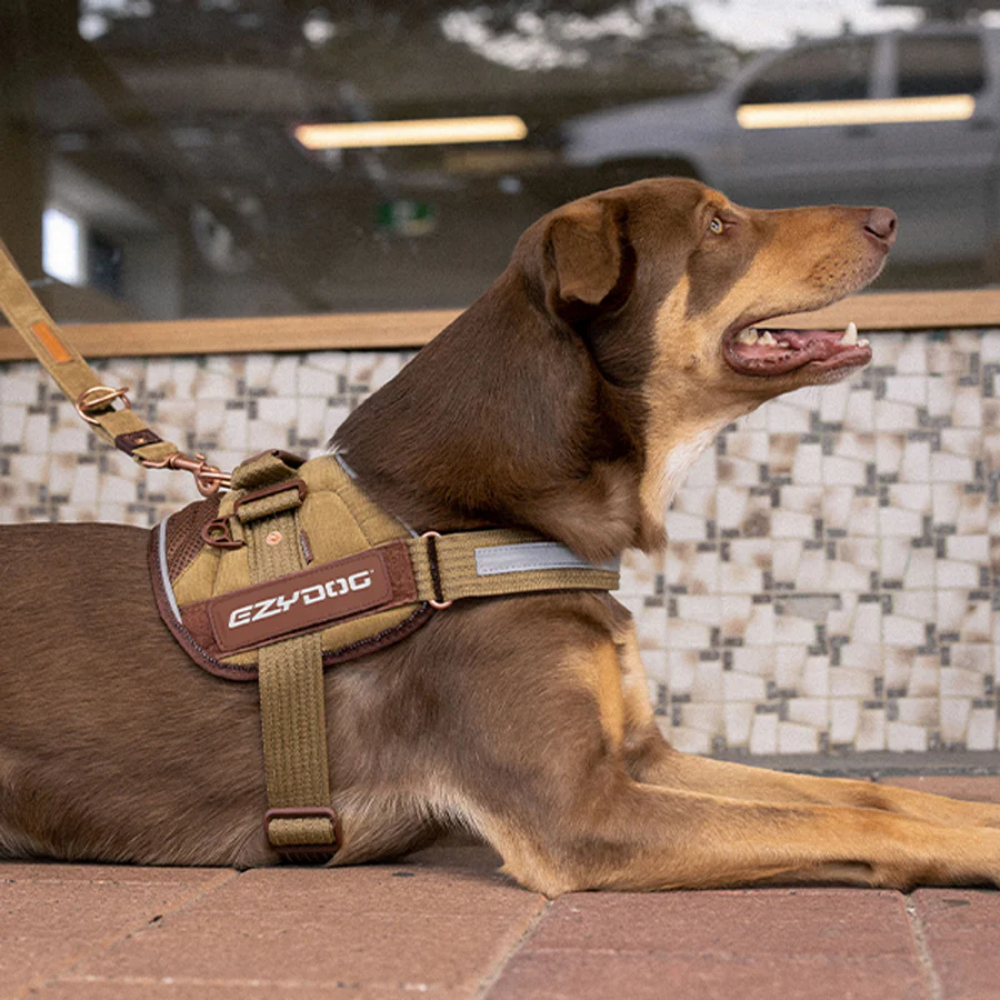EzyDog Convert Harnes CV XL Black
