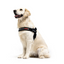 Ezydog 04652 Harness Express Red L