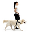 Ezydog 04652 Harness Express Red L