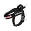 Ezydog 04584 Harness Express Black M