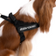 Ezydog 04577 Harness Express Red S