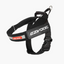 Ezydog 04669 Harness Express Black Xl
