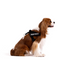 Ezydog 04669 Harness Express Black Xl