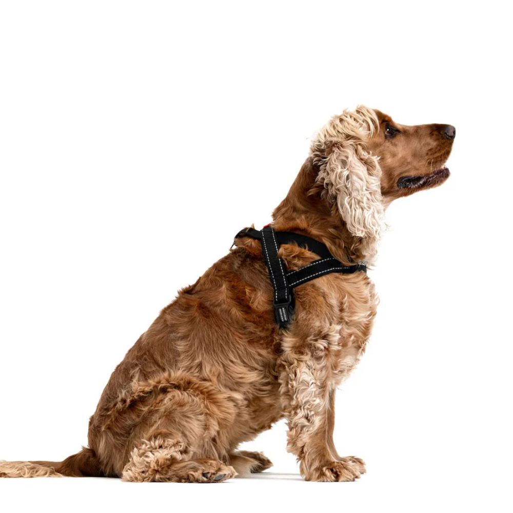 Ezydog 41022 Harnes Quıck Fıt 2Xs Candy