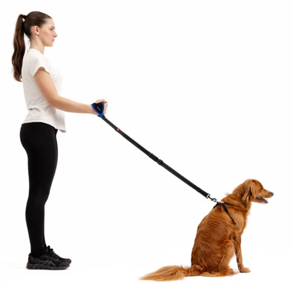 EzyDog Leashes Handy Leash Carabıner Black