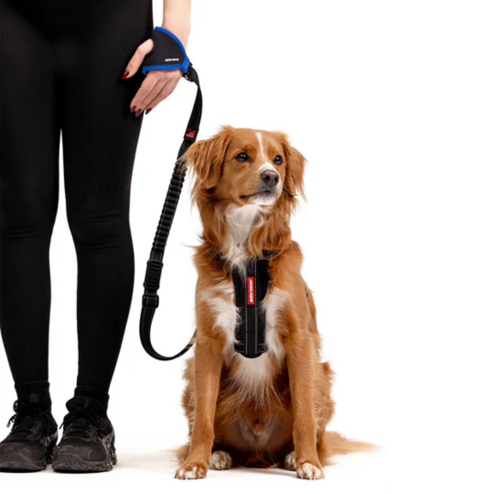 Ezydog Leash Handy Leash Black 120cm