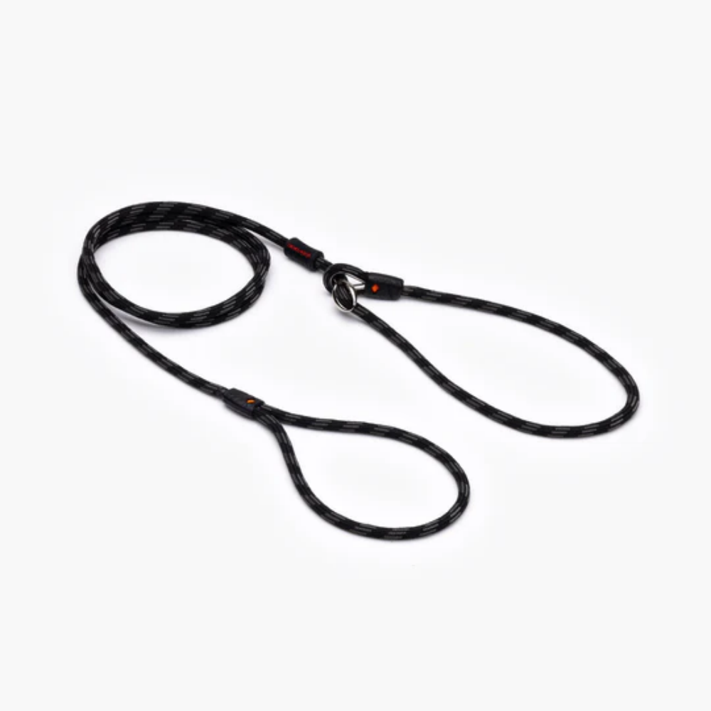 EzyDog Luca 67" Black 170cm