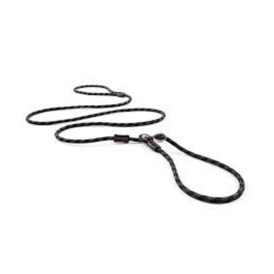 EzyDog Luca 67" Black 170cm