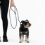 EzyDog Luca 67" Black 170cm