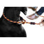Ezydog 03402 Luca 67" Orange 170 Cm