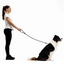 Ezydog 03426 Luca 67" Red 170 Cm