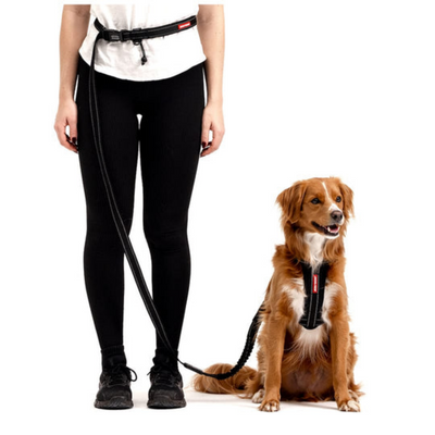 EzyDog 01316 Leashes Road Runner/Zero Shock