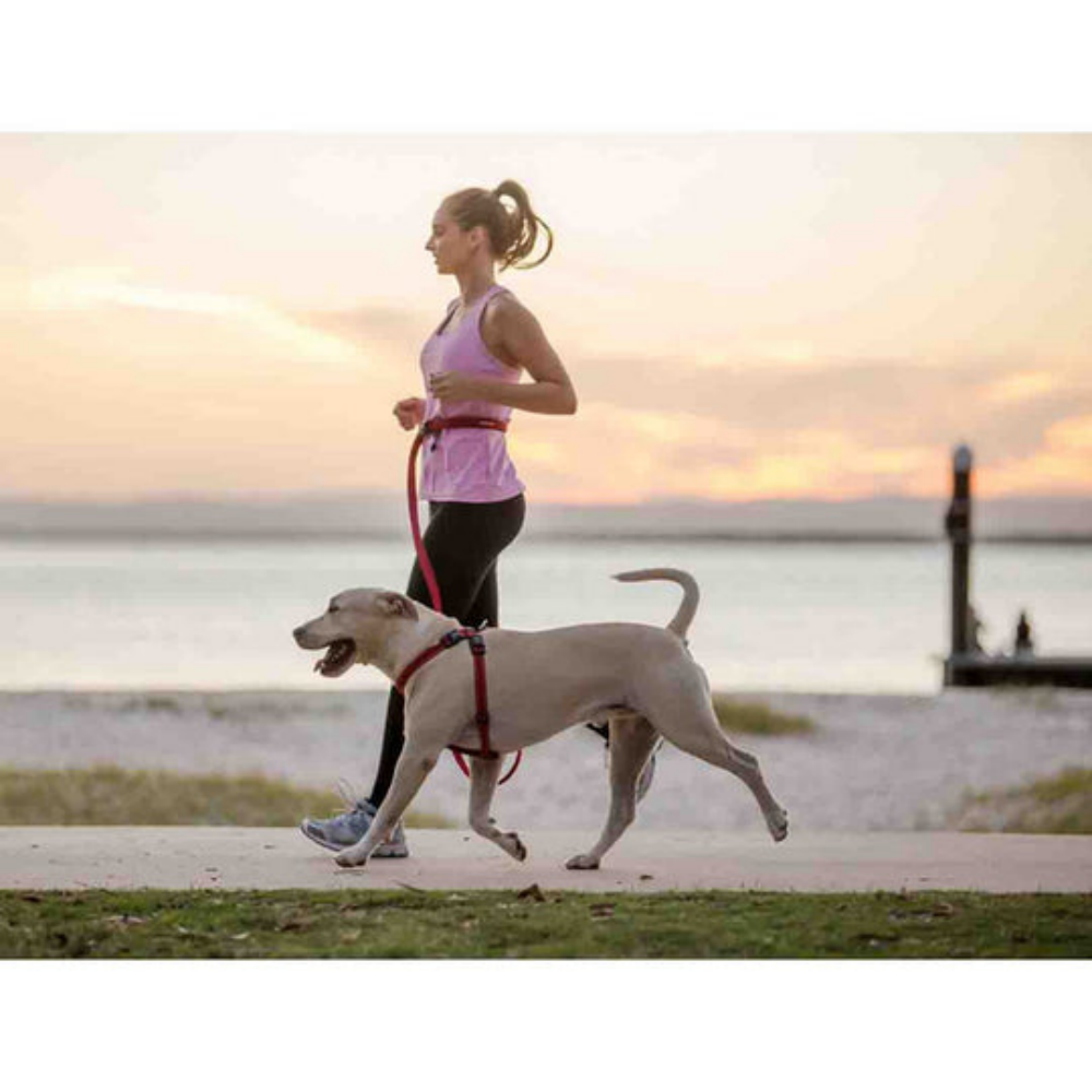 EzyDog 01316 Leashes Road Runner/Zero Shock