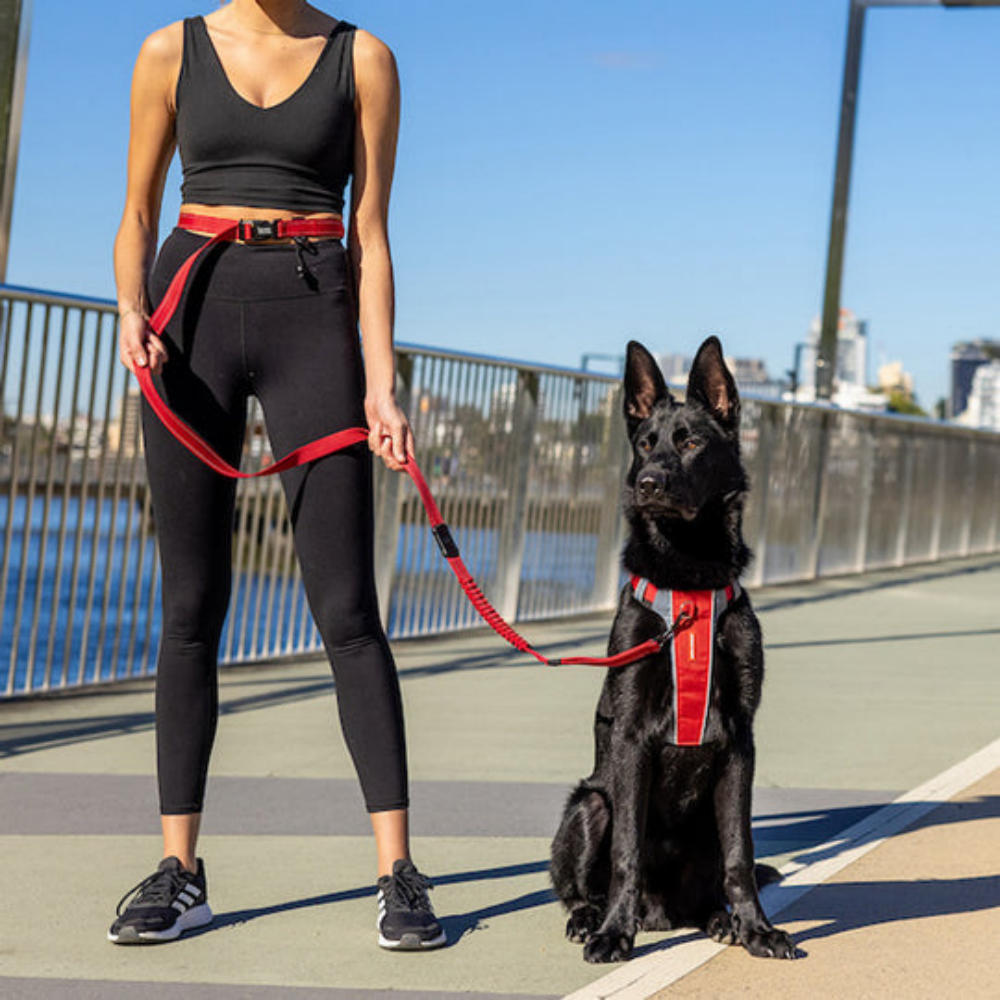 Ezydog 01729 Leashes Road Runner/Zero Shock