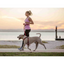 Ezydog 01309 Leashes Road Runner Zerro Shock 82"