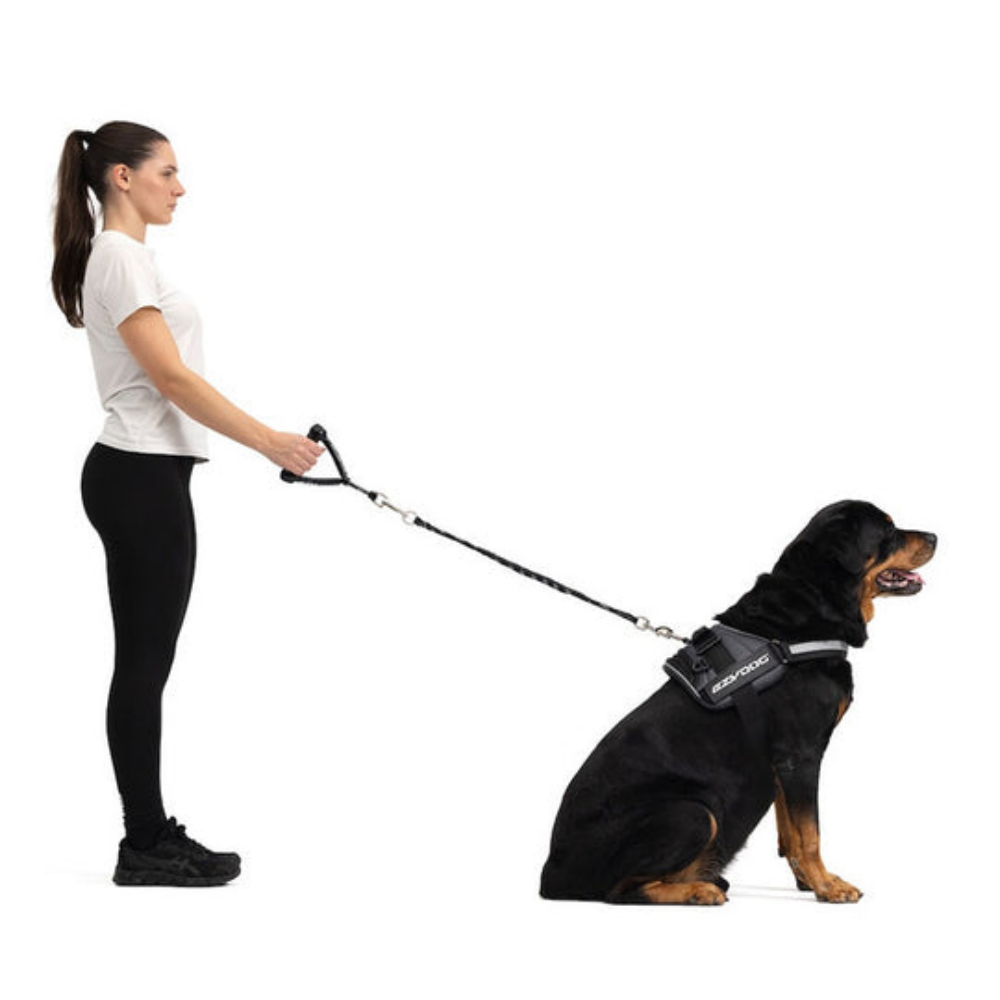 Ezydog 02245 Extensıon Mongrel 24" Black (61Cm)