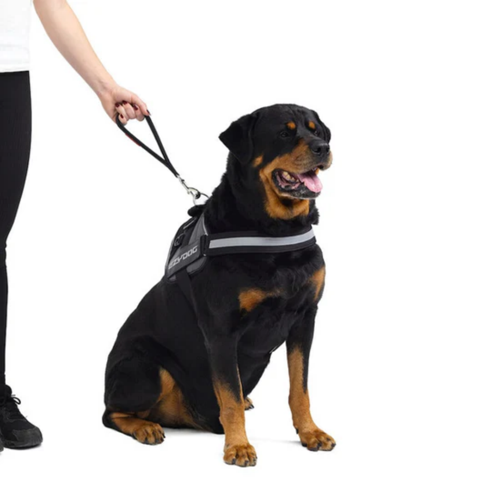Ezydog 00012 Leash Mongrel Neo Web 12" Red (30,5Cm)