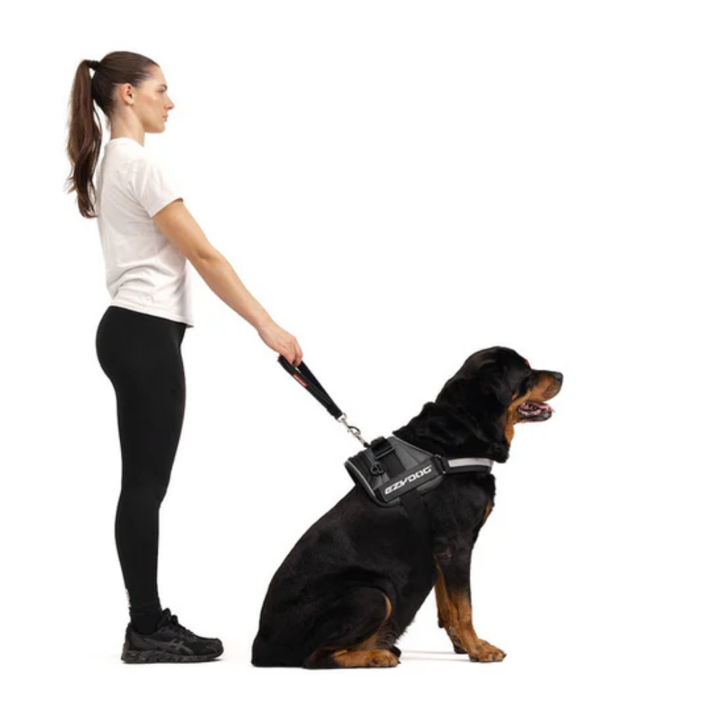 Ezydog 00012 Leash Mongrel Neo Web 12" Red (30,5Cm)