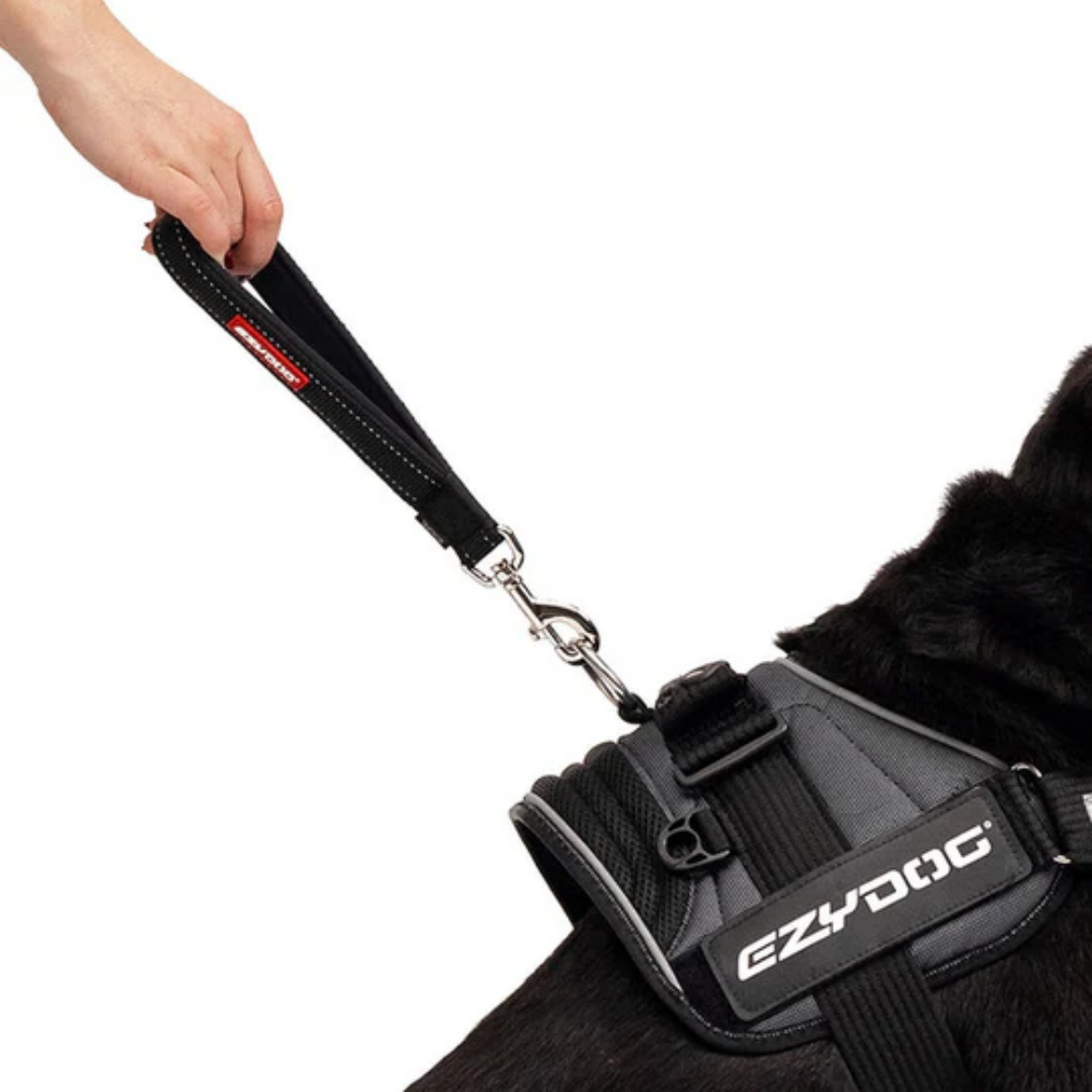 Ezydog 00012 Leash Mongrel Neo Web 12" Red (30,5Cm)
