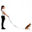 Ezydog 00371 Leashes Trainer S Lite 12Mm 181Cm Soft Red