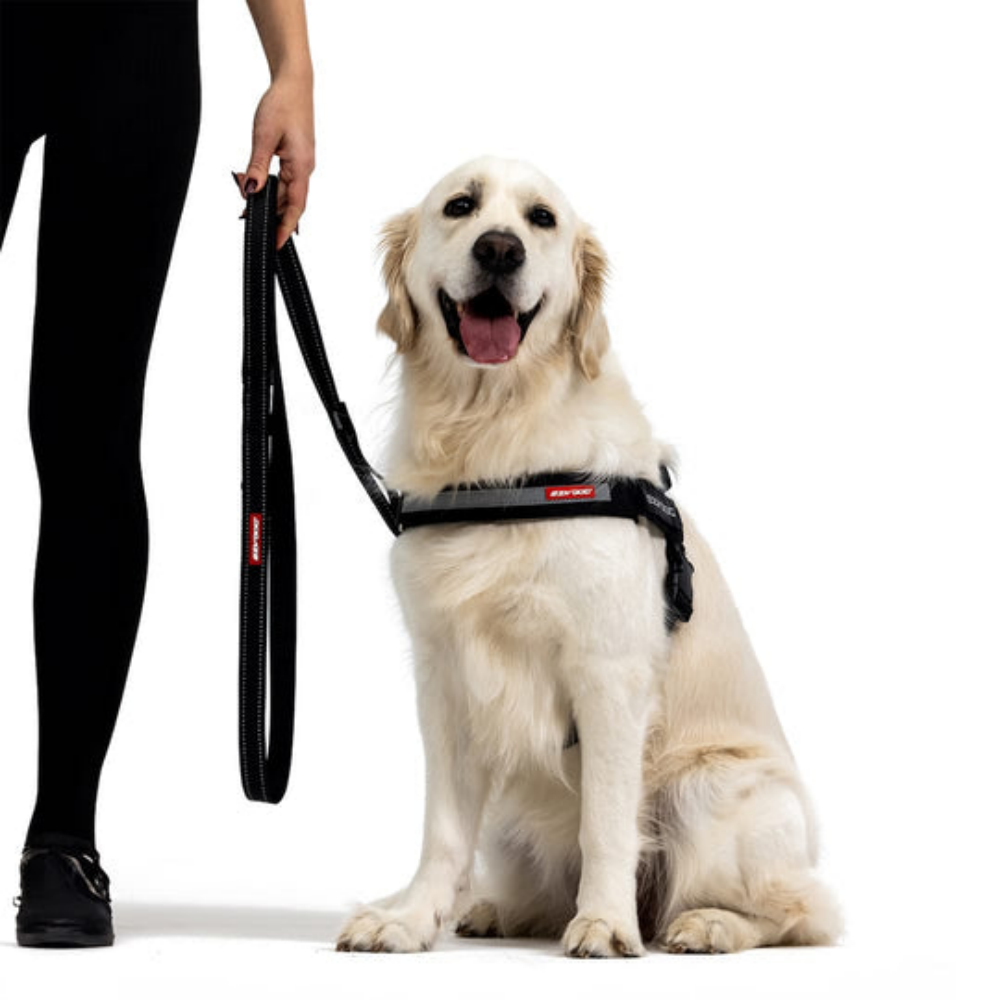 Ezydog 00098 Leashes Trainer Soft 25Mm 181Cm Black