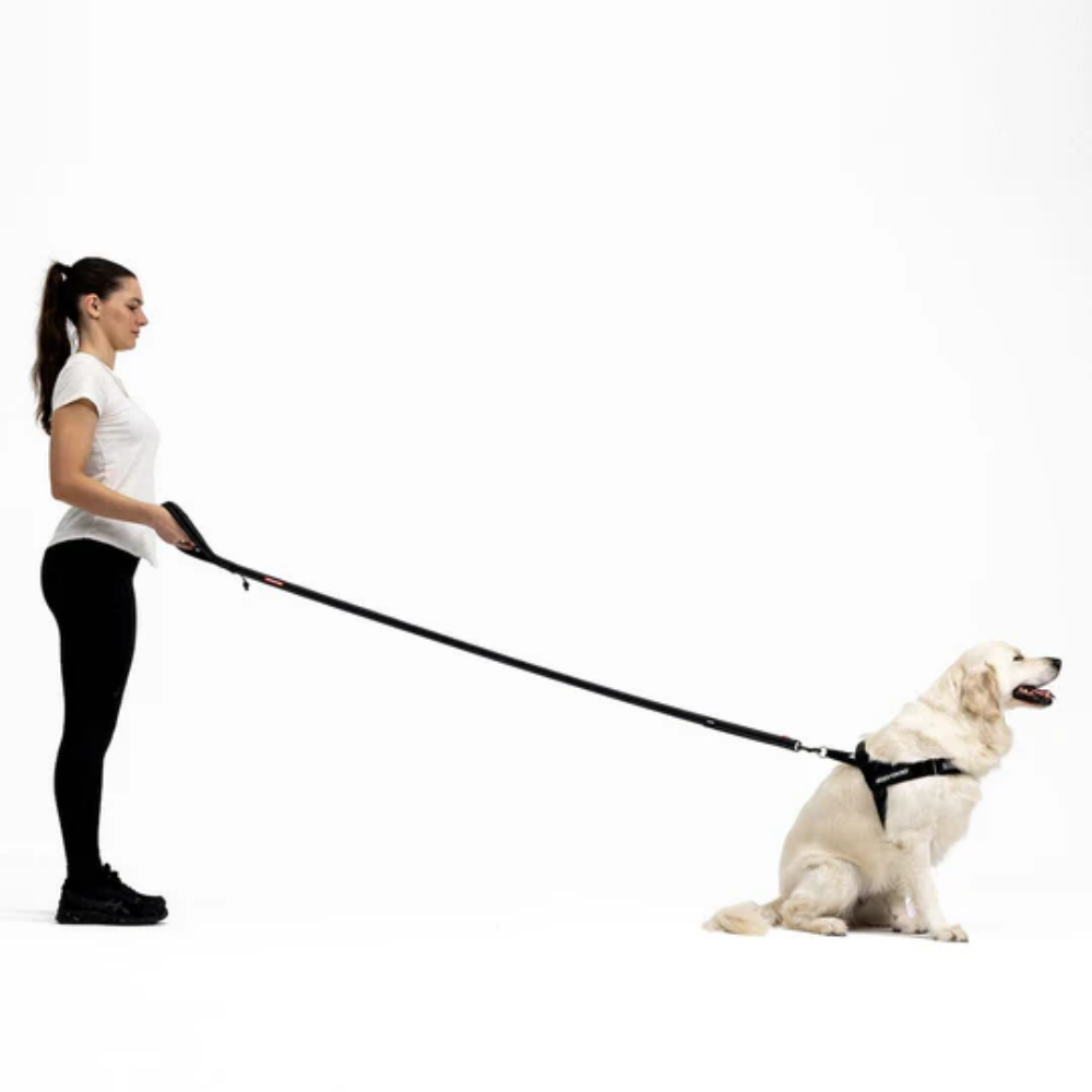 Ezydog 00098 Leashes Trainer Soft 25Mm 181Cm Black
