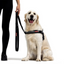 Ezydog 00029 Leashes Trainer Soft 25Mm 181Cm Pınk Camo