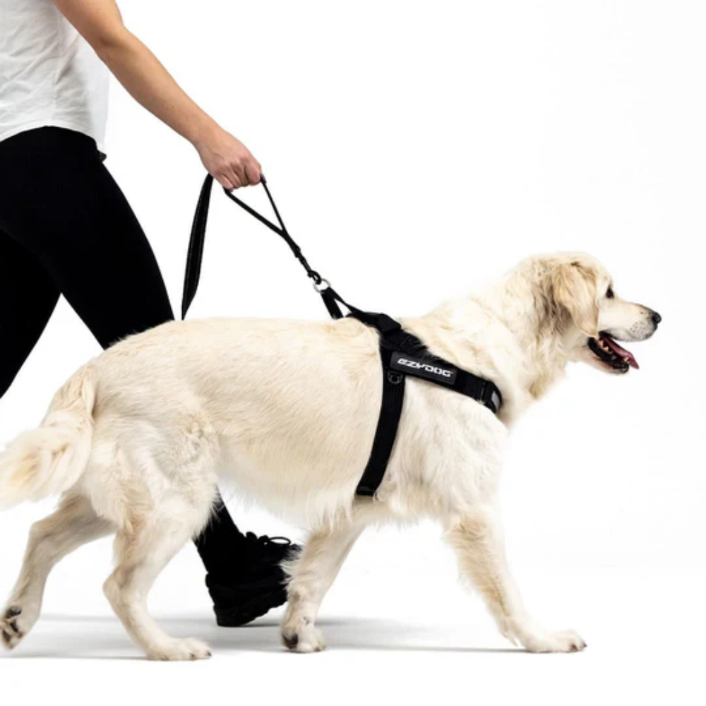 Ezydog 00302 Leashes Trainer Soft 25Mm 181Cm Red