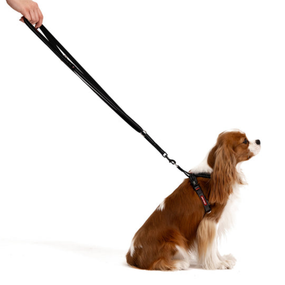 Ezydog 63121 Leash Vario4 Lite 12Mm 6" S Candy (15,25Cm)