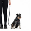 Ezydog 04850 Leashes Vario 4 Lite Denım