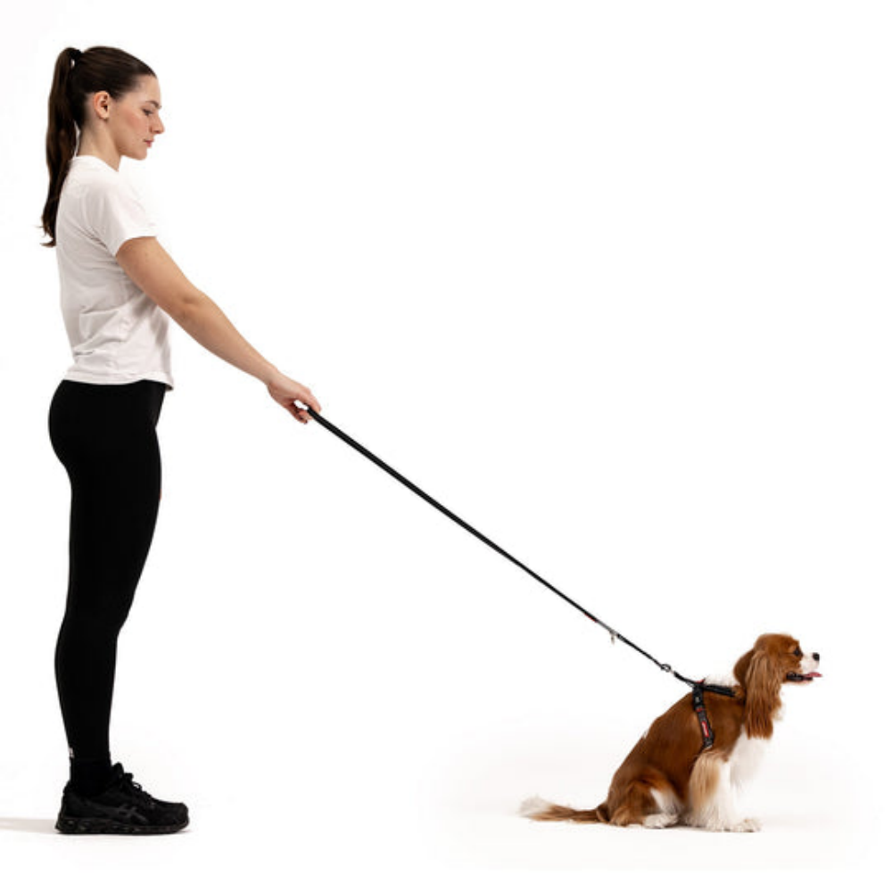 Ezydog 04850 Leashes Vario 4 Lite Denım