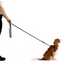 Ezydog 64128 Leash Vario4 Lite 12Mm 6" S Red (15,25Cm)