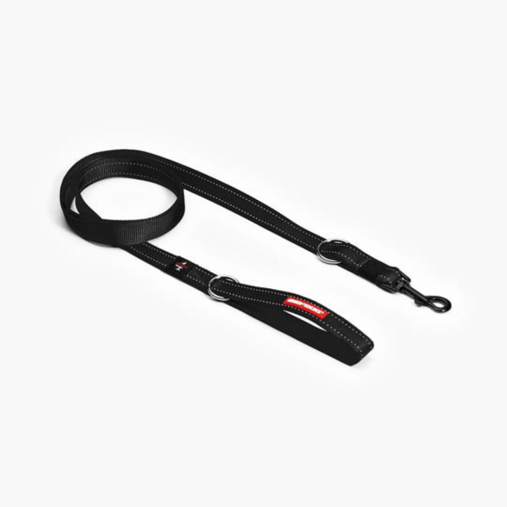 Ezydog 62254 Leas Vario 4 25Mm 6" Black (15,25Cm)Snapclıp